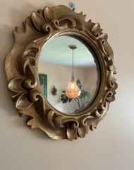 small Ornate accent mirror