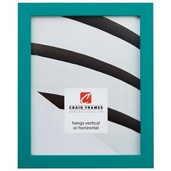Craig Frames Confetti Primary, .875″ Wide Modern Picture Frame, Various Colors