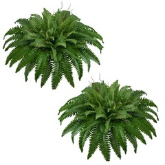 42In Artificial Boston Ferns Bush, Set of 2 Large Faux Ferns Plants, 79 Branc…