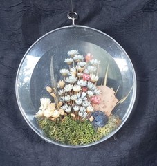 Sun Catcher Dried Flowers Clear Glass Round Beveled European Style Poland VTG