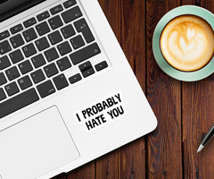 I Probably Hate You Vinyl Sticker – Funny Sarcastic Decal