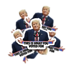 Trump Sticker -«This is What You Voted For» Anti-Trump Political Meme – 12 pack