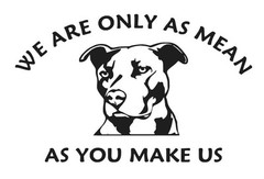 YOU MAKE US MEAN PITBULL VINYL DECAL DOG BREED LAPTOP WINDOW CHOOSE COLOR