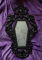 Victorian Gothic Style Coffin Frame with REAL Spider Web
