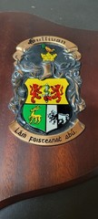 Dublin Ireland Heraldic Artists Vtg Name Crest Plaque Sullivan & Minogue 10″W