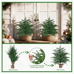 2 Pack 2FT Artificial Norfolk Pine Tree with Pot – UV Protection Faux Tree Fake