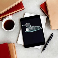 Loon Birdwatching Sticker – Midwest Lake Bird Decal for Laptop & Water Bottle