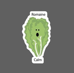 Romaine Calm Sticker Lettuce Waterproof – Buy Any 4 For $1.75 Each Storewide!
