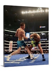 Canelo Alvarez Canvas 16X20 Boxing WallArt Decor Gym Goat Champ Mexico Bar WBC
