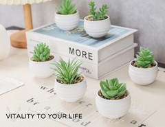 6 Pck Succulents Plants Artificial Fake in Pots Small Bathroom Decor Office Desk