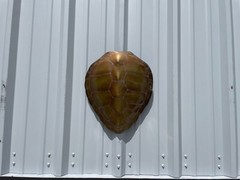 17″ Green Turtle Shell Half Mount Replica – Quick Production