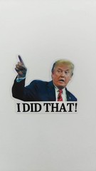 I Did That Trump Sticker 10 Pack Funny Meme Vinyl Decal Waterproof 3in