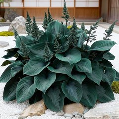 170+ Mix Hosta Seeds for Planting – Perennial Shade Garden Plant Seeds