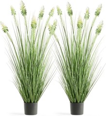 4ft 2-Pack Horsetail Reed Grass with White Cockscomb Flower, 48in Tall Indoor
