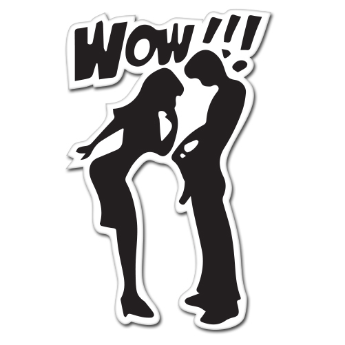WOW Looking Down Pants Funny Rude Adult car bumper sticker decal 6″ x 4″