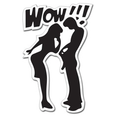 WOW Looking Down Pants Funny Rude Adult car bumper sticker decal 6″ x 4″