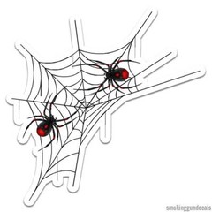 Spider Web, Vinyl Decal Sticker, Indoor Outdoor, 3 Sizes, #12614