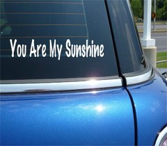 YOU ARE MY SUNSHINE FAMILY LOVE SPOUSE DATING DECAL STICKER FUNNY CAR TRUCK
