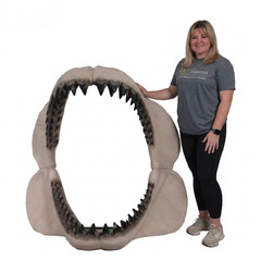 Megalodon Giant Shark Jaw Open Life Size Statue Ocean Sea Fossil Prop Display