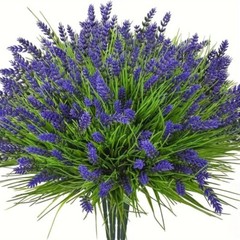 Purple Lavender and Grass Artificial Flowers, Pretty Color, 10 Bunches