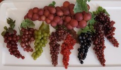 Artificial Grapes Faux Rubber Fruit Berries Decor Mixed Lot of 9 Clusters