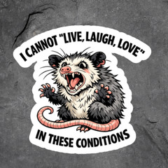 Opossum Sticker Vinyl Decal Angry Possum Funny Meme Sarcastic Humor