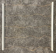 Umbra Wall Photo Display Sung Wook Park Paul Loebach Hanging Clothes Pins Wood