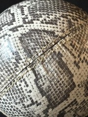 Exotic Faux Python Snakeskin Leather Ball Man Cave Office Decor Weighted 2lbs