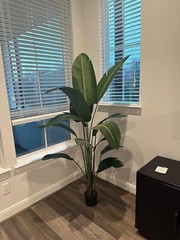 Indoor/Outdoor 6ft Faux Bird of Paradise Plant in Heavy-Duty Decorative Pot