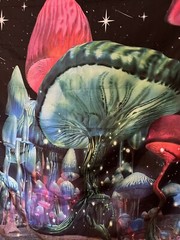 Trippy Mushroom Galaxy Tapestry Wall Art Boho Decor Fast Shipping Gift Idea