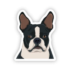 Black Boston Terrier Dog Sticker Water Bottle, Laptop, Phone, Dishwasher Safe