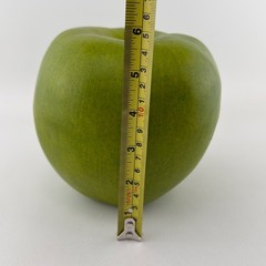 Jumbo XL Fake Faux Food Prop Decor Fall Green Granny Smith Apple Fruit Large 6″