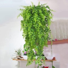 Low-Maintenance 2-Piece Fern Hanging Plants – Indoor/Outdoor Decor Solution