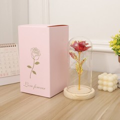 Crystal Galaxy Enchanted LED Glass Forever Rose Valentine’s Day Home Dome Gifts