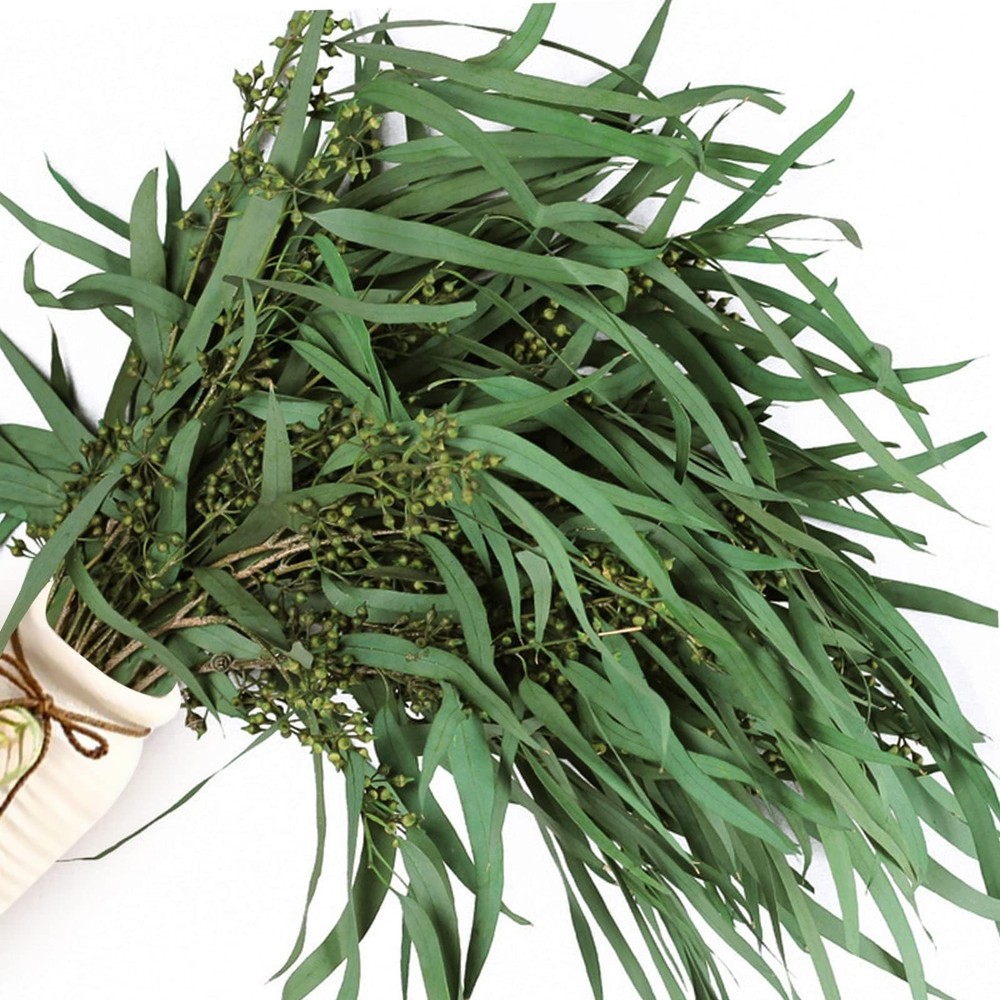 17» Real Dried Seeded Eucalyptus Stems for Shower, Preserved Natural Eucalyp…