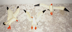 Seagull Sea Gull Birds Metal Wall Art Hangings 1950’s Mid Century MCM Beach