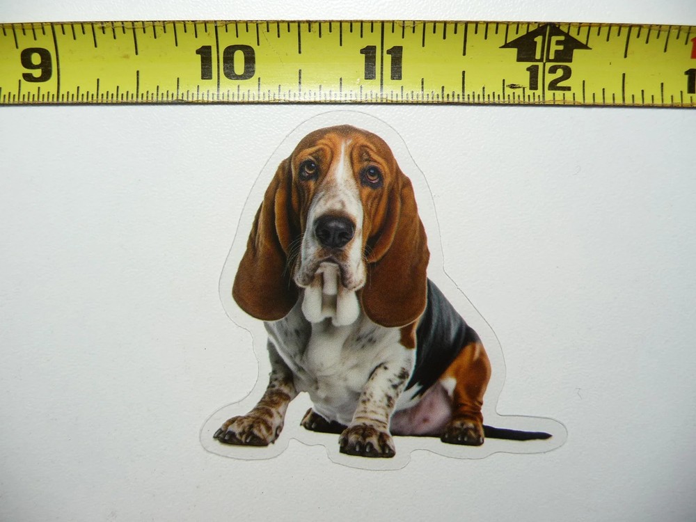 BASSETT HOUND DOG SMALL STICKER DECAL PET COLORFUL BEST FRIEND FUNNY