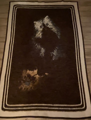 VTG BIEDERLACK CAT KITTEN GRAPHIC THROW BLANKET ( 48” x 72” ) BROWN BEIGE BOHO