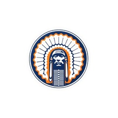 University Of Illinois Fighting Illini Vinyl Decals Home Decor, Laptop Stickers