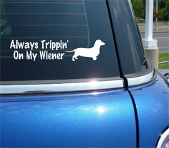 ALWAYS TRIPPING ON MY WIENER DACHSHUND FUNNY DECAL STICKER CAR WALL