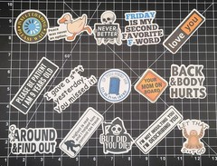 100 Pcs Funny Meme Stickers Pack Vinyl Decals Sarcastic Adult Humor Joke Lot