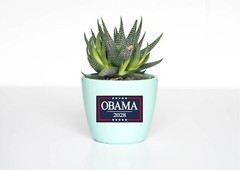 Obama 2028 Decal Sticker Vote 3rd Term President Democrat Anti Trump Political