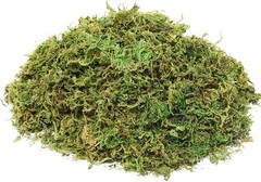 Fake Moss Artificial Moss for Potted Plants Greenery Moss(4OZ) Home Decor Fairy