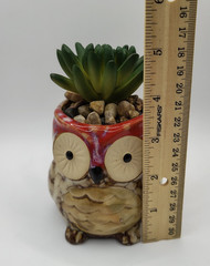 Owl Planter with Artificial Succulent Plant