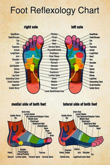 Massage Therapist Foot Reflexology Chart 1 Poster, Vintage Poster Unframe