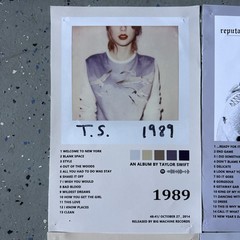 Set of 11 Taylor Swift Album Cover Canvas Prints Posters Decor Wall Art
