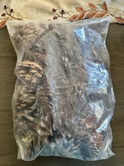 Natural Pinecone Lot Multiple Sizes Ranging From Small To Medium/Large