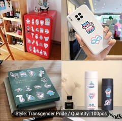 10 PCS Trans Queer Pride Stickers BRAND NEW
