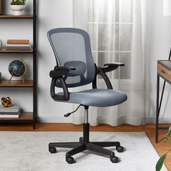 Mainstays Ergonomic Mesh Back Office Chair with Flip Up Arms for Adults, Black