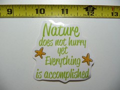 STARFISH NATURE EVERYTHING IS ACCOMPLISHED SMALL STICKER DECAL MOTIVATIONAL
